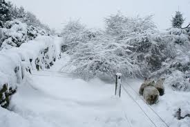 Cold front the strongest to hit Jordan in a decade, chief meteorologist