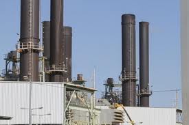 تحذير من كارثة غذائية وبيئية في غزة