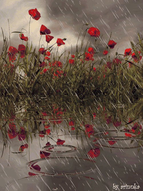 طقس بارد نسبيا وأمطار متفرقة حتى الخميس