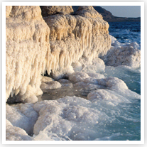 Medical Tourism conference in Amman next month