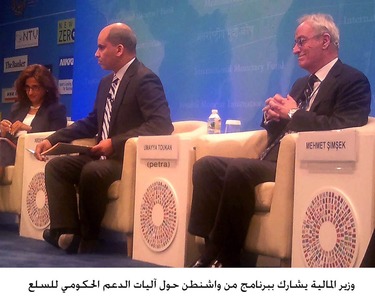 FinMin talks about government subsidies from Washington