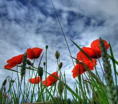 Mild weather expected till Wednesday