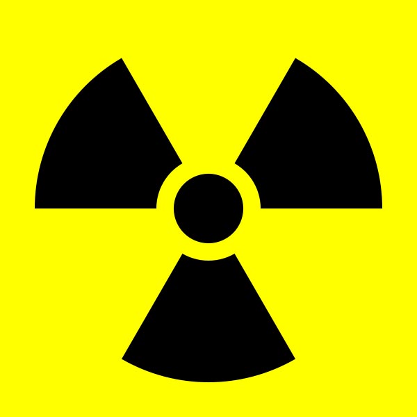 Two bids to build Jordan nuclear plant shortlisted