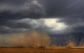 Dusty to moderate weather till Friday