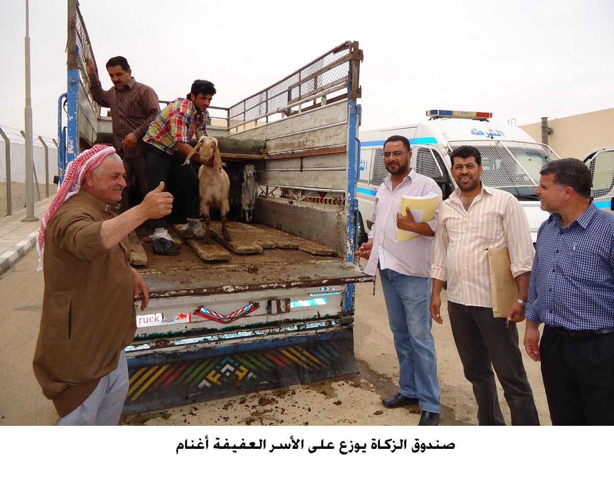 صندوق الزكاة يوزع مشروعات انتاجية وقسائم غذاء على اسر عفيفة بالطفيلة