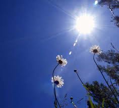 طقس معتدل الى حار نسبيا حتى الاحد