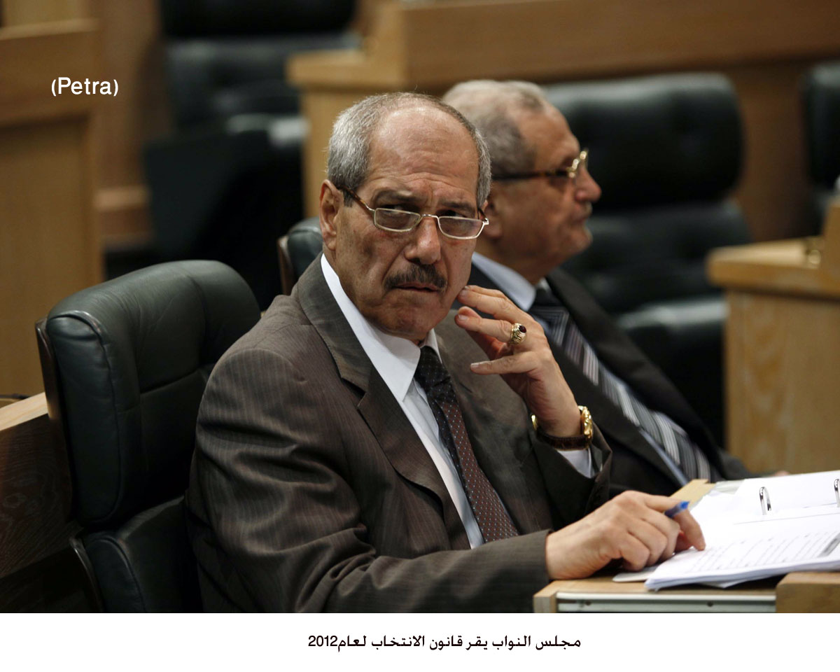 Lower House passes new elections law