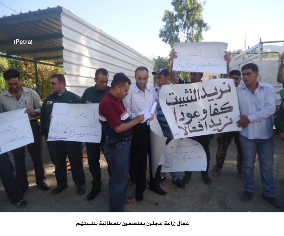 عمال زراعة عجلون يعتصمون للمطالبة بتثبيتهم