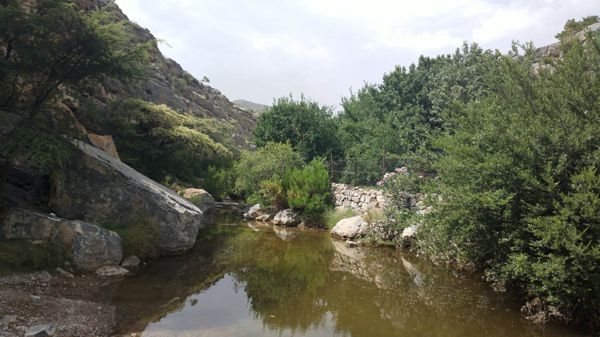 الجبل الأخضر بسلطنة عمان تفرد مناخي في منطقة الخليج