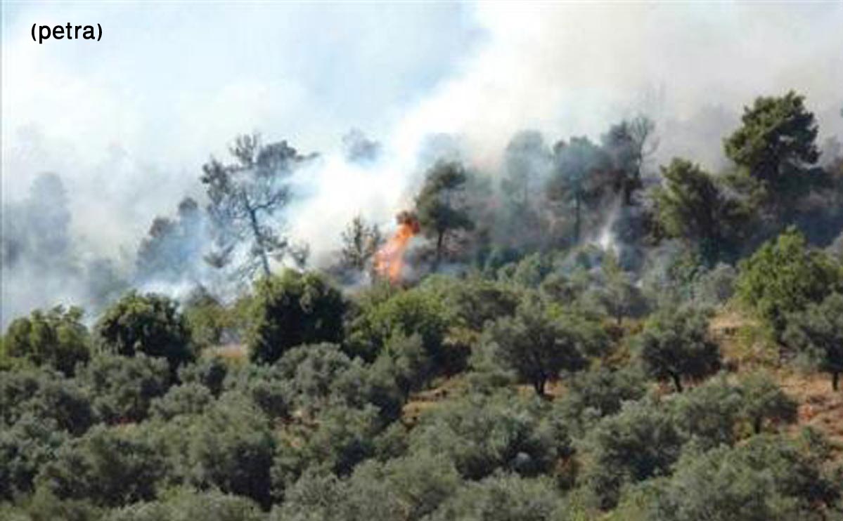 استمرار حرائق الغابات يستدعي المتابعة