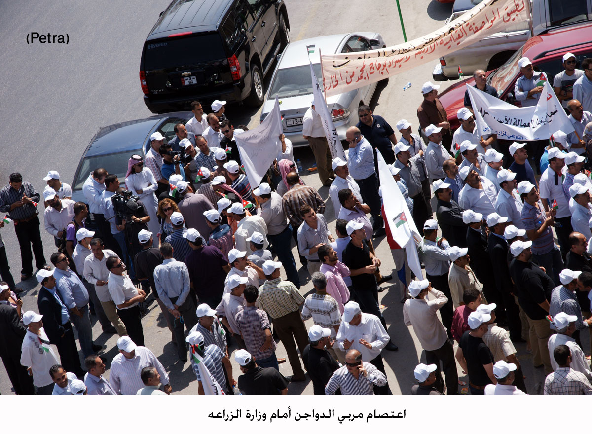 تشكيل لجنة مشتركة لبحث مطالب مزارعي الدواجن