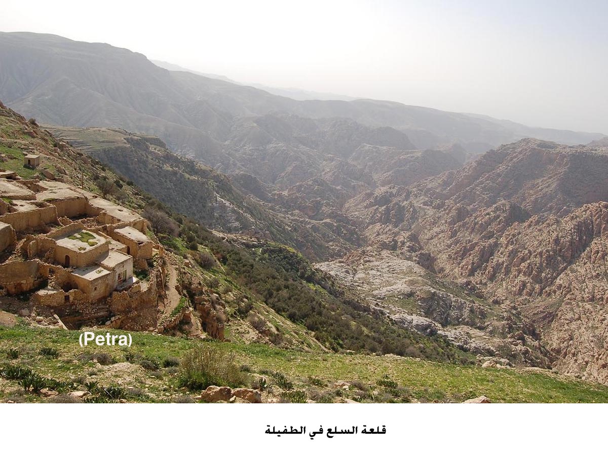 مطالبات بتأهيل طريق قلعة السلع وبساتين الزيتون في الطفيلة