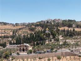 مخطط اسرائيلي لإقامة أكاديمية عسكرية في جبل الزيتون بالقدس