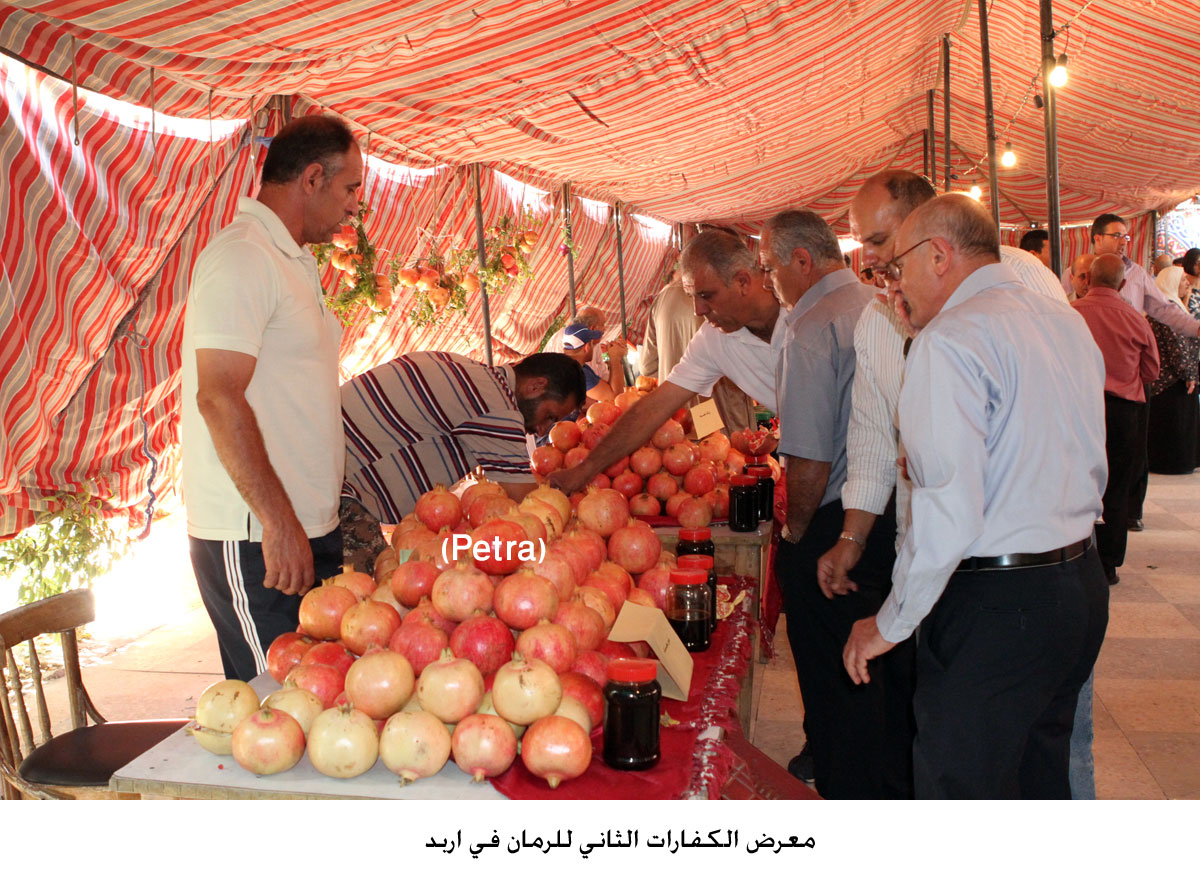 مزارعو الرمان يطالبون بدعم تسويقه