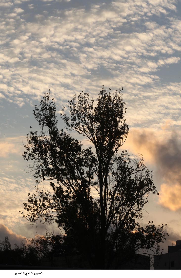 منخفض جوي غدا وطقس بارد وماطر حتى الخميس