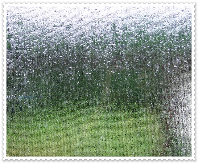 Cold and rainy weather expected