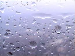 طقس بارد وماطر الجمعة والسبت وبارد نسبيا الأحد