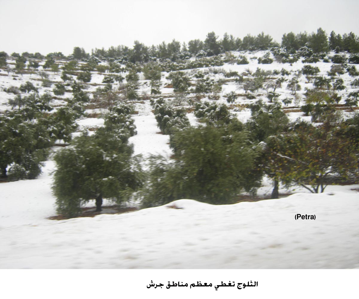 الثلوج تغطي معظم مناطق جرش