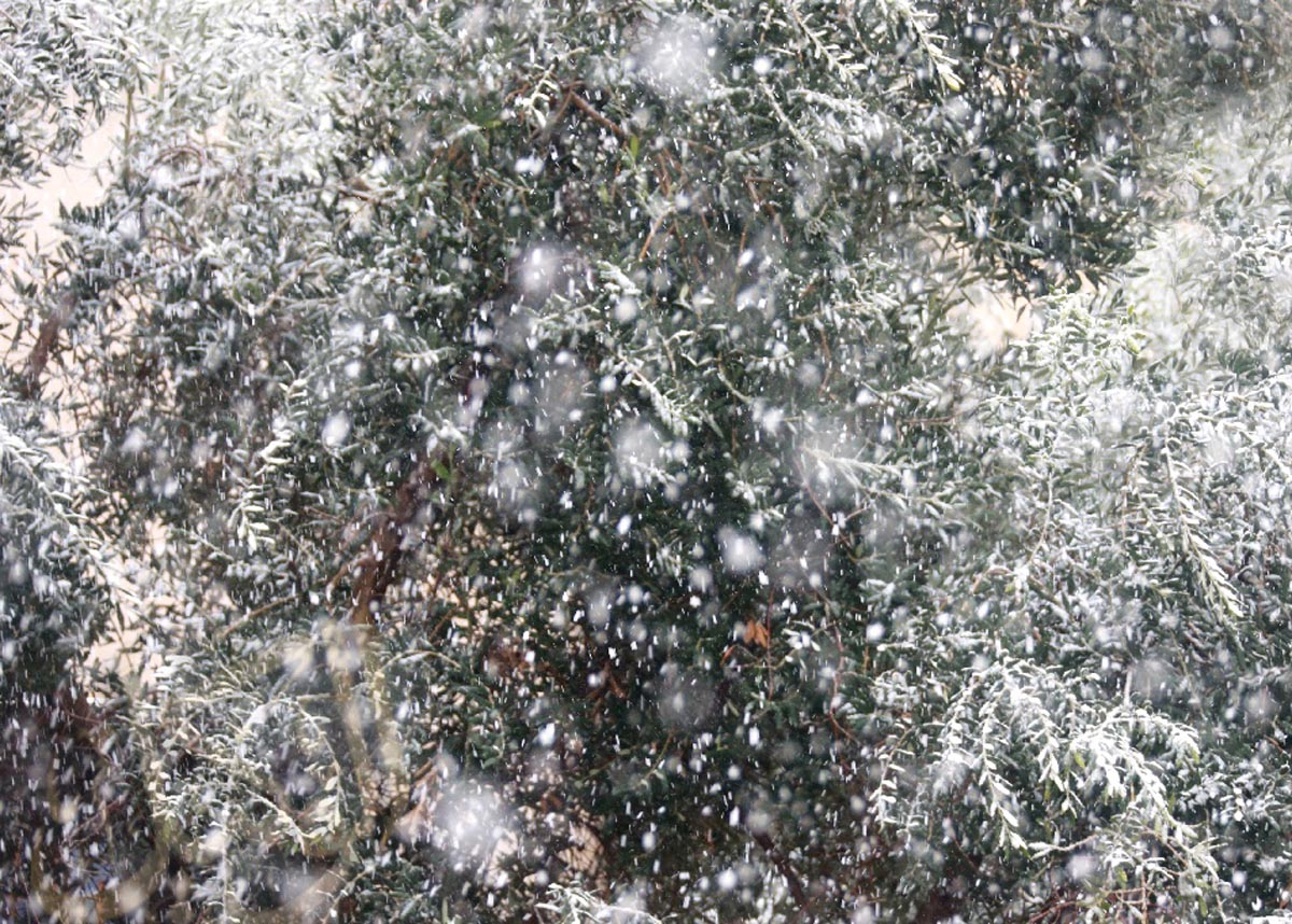 تساقط كثيف للثلوج في مناطق شمال عمان