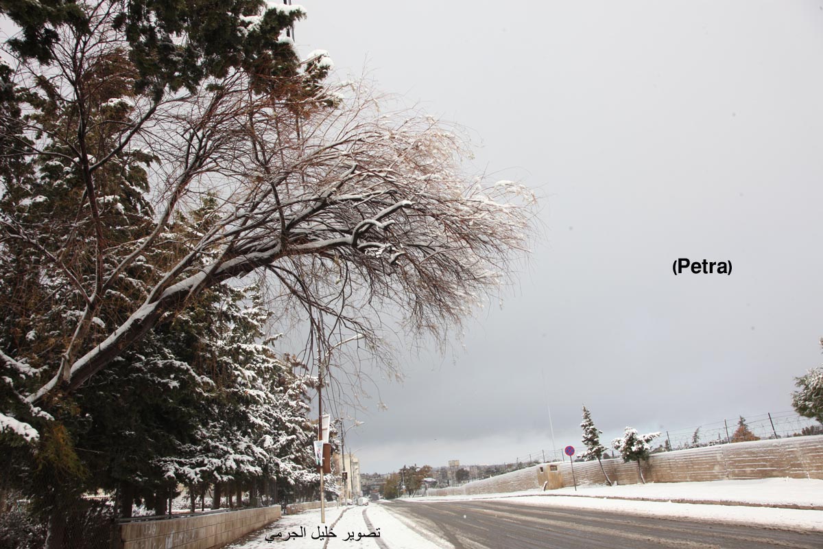 حالة الطرق في محافظات المملكة