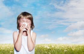 إصابات الإنفلونزا باميركا تتحول إلى وباء