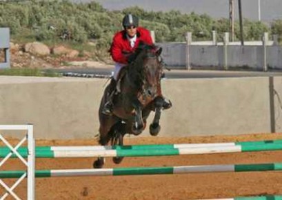 بطولة الشتاء لفروسية القفز عن الحواجز تبدا غدا