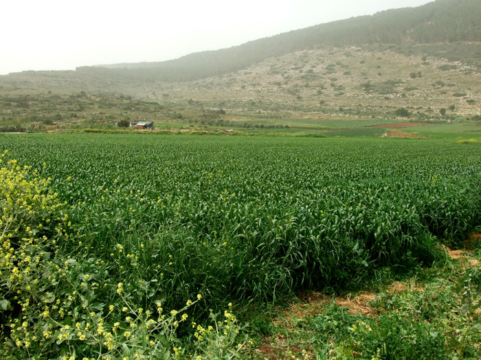 الوكالة الاميركية للتنمية تعلن عن منح للطاقة النظيفة في الزراعة