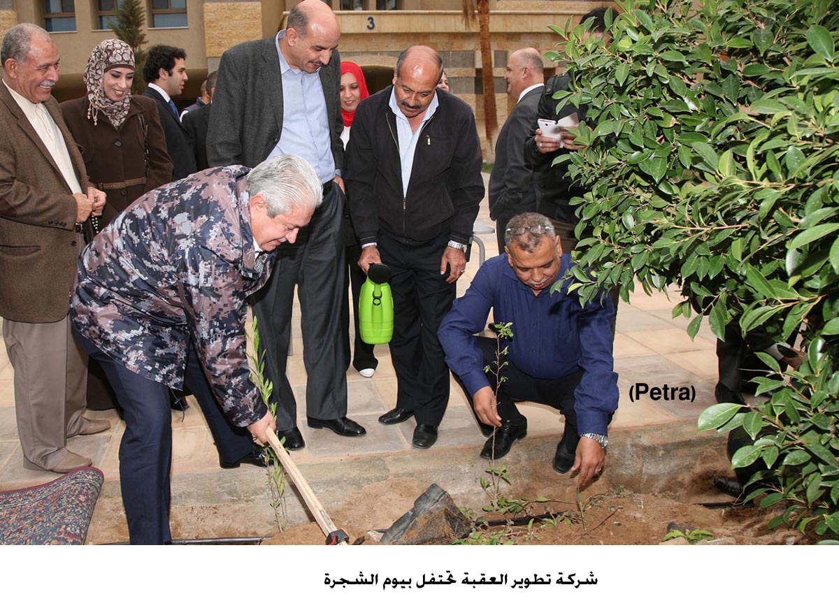 شركة تطوير العقبة تحتفل بيوم الشجرة
