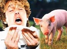 تسجيل حالة وفاة ثانية بانفلونزا الخنازير في اسرائيل