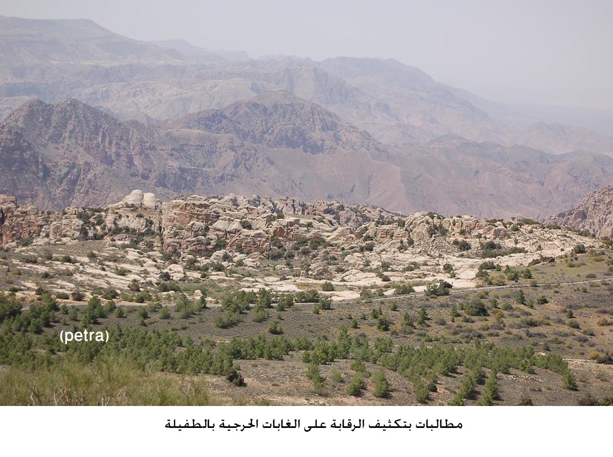 مطالبات بتكثيف الرقابة على الغابات الحرجية بالطفيلة