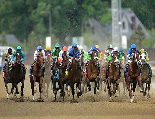 وفد اردني يشارك في كأس خالد بن حمد لسباق الخيل