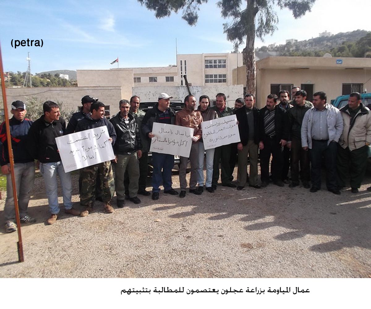 عمال المياومة بزراعة عجلون يعتصمون للمطالبة بتثبيتهم