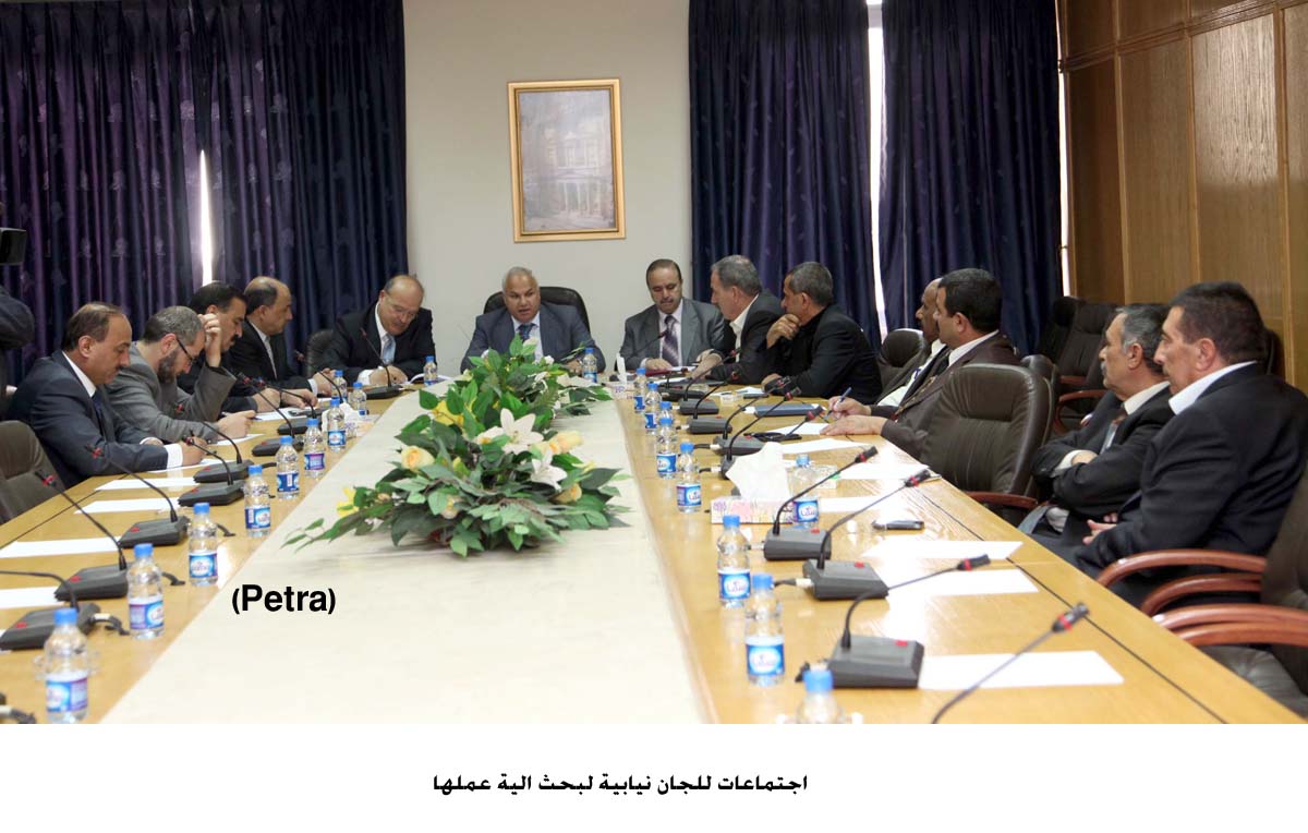 اجتماعات للجان نيابية لبحث الية عملها