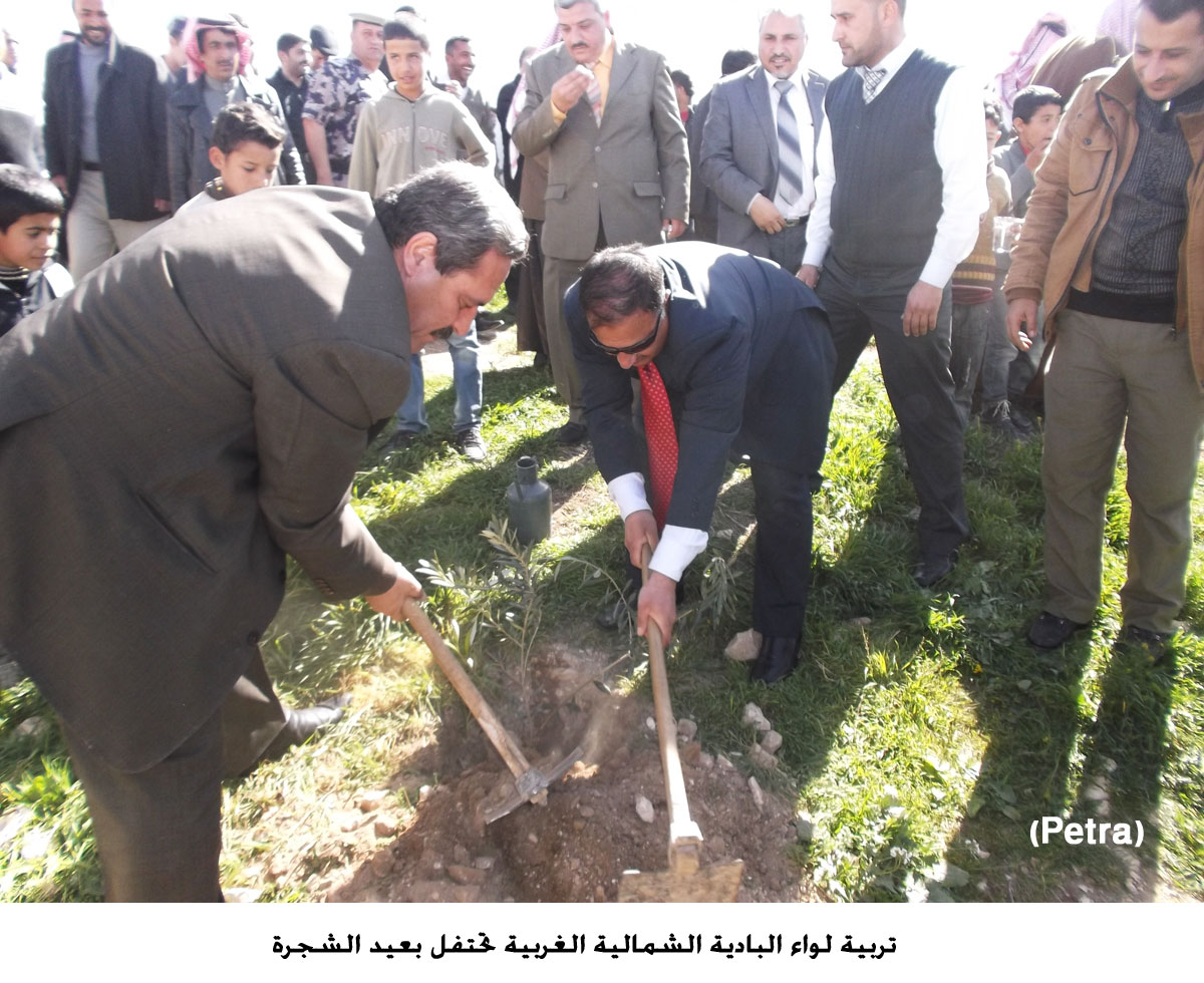 تربية لواء البادية الشمالية الغربية تحتفل بعيد الشجرة