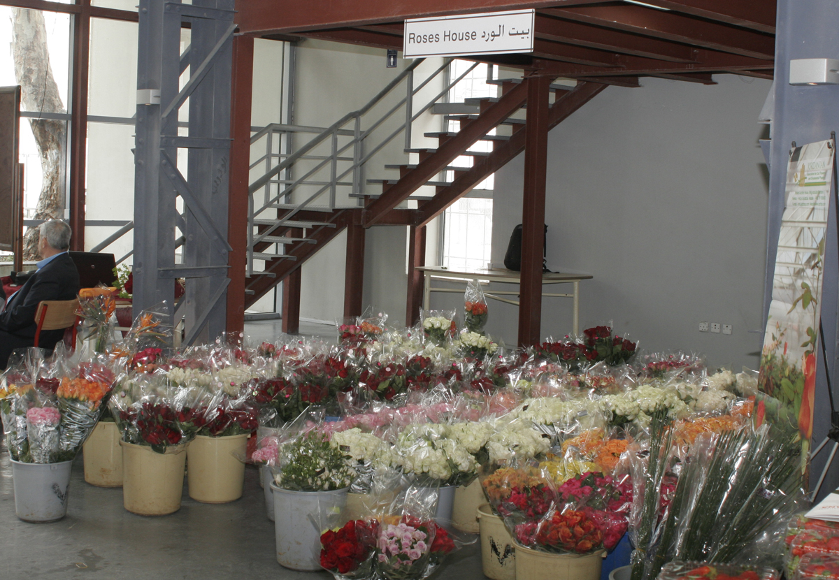 جمعية أزهار القطف ونباتات الزينة تقيم معرضا للمنتجات الزراعية