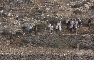 المستوطنون يواصلون سرقة أراضي كفر الديك