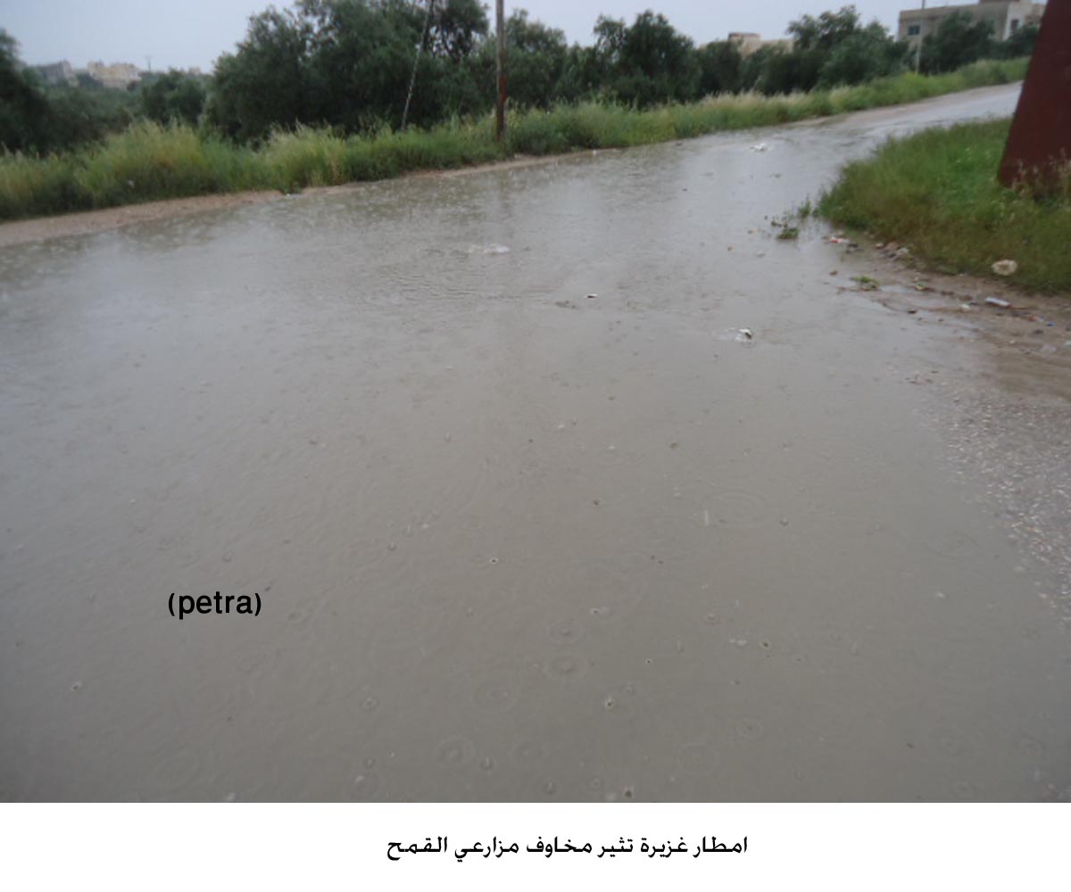 امطار غزيرة تثير مخاوف مزارعي القمح