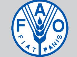 FAO delegation seeks to learn from Jordan's Survey Dep't experience