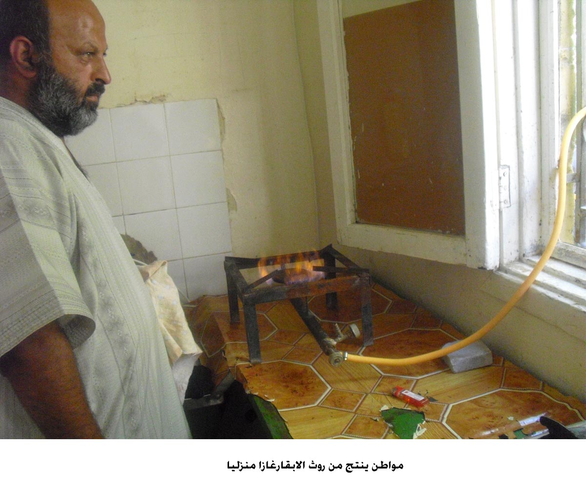 مواطن ينتج من روث الابقارغازا منزليا