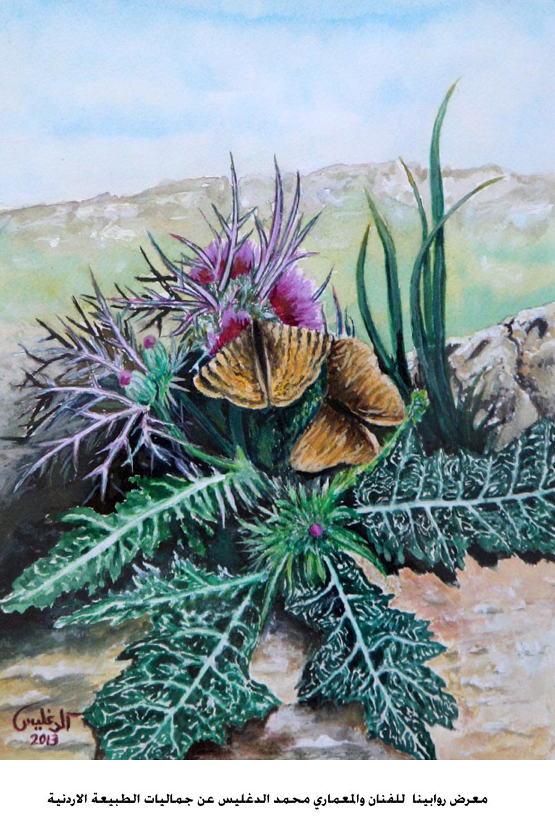 معرض روابينا للدغليس عن جماليات الطبيعة الاردنية