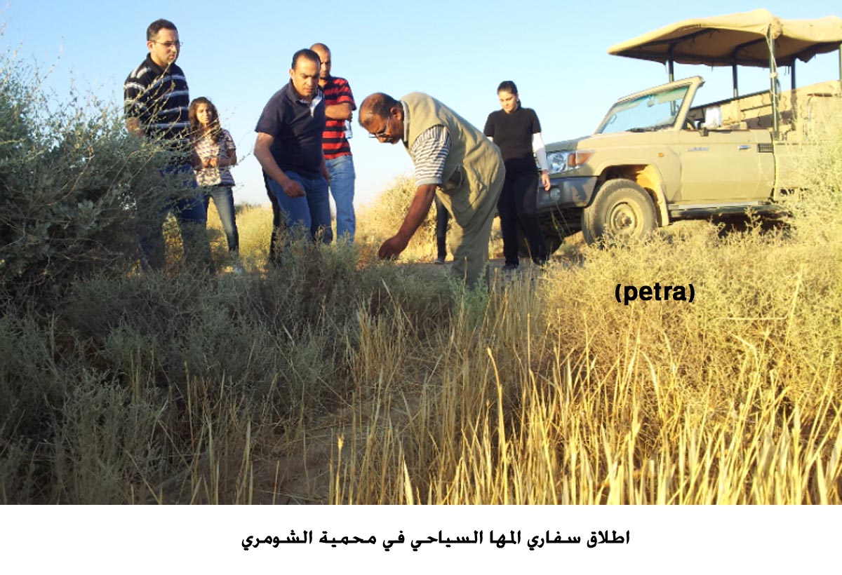 اطلاق سفاري المها السياحي في محمية الشومري