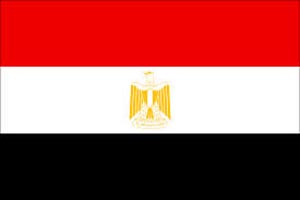 الجيش المصري يمهل القوى المعارضة 48 ساعة للعودة للصف الوطني