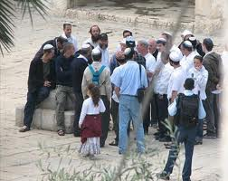 مستوطنون متطرفون يقتحمون جنوب جنين