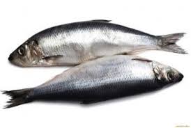 تناول الاسماك الدهنية يقلل خطر الاصابة بالتهاب المفاصل