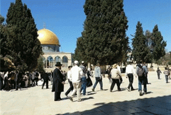 استنكار فلسطيني لاقتحام مستوطنين المسجد الاقصى المبارك