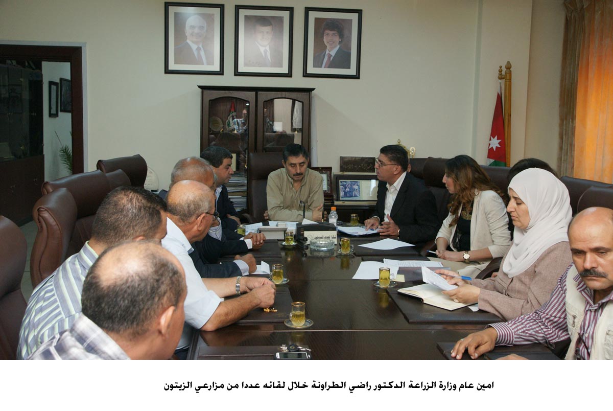 "الزراعة" تبحث مطالب مزارعي الزيتون