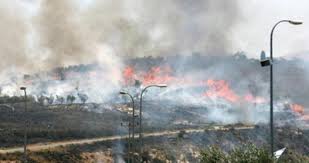 مستوطنون اسرائيليون يحرقون عشرات الدونمات شرقي نابلس