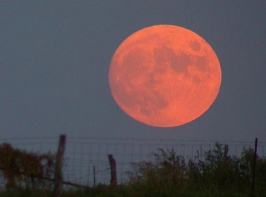 قمر الحصادين يشاهد في سماء المملكة مساء الاربعاء المقبل