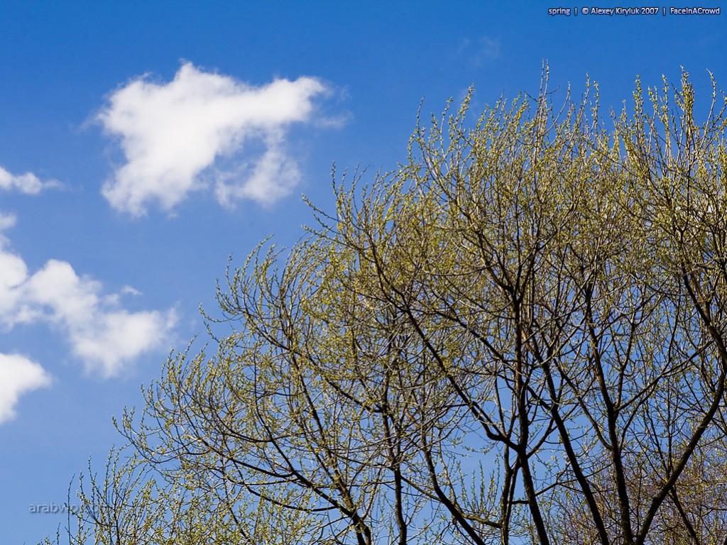 غدا اول ايام فصل الخريف