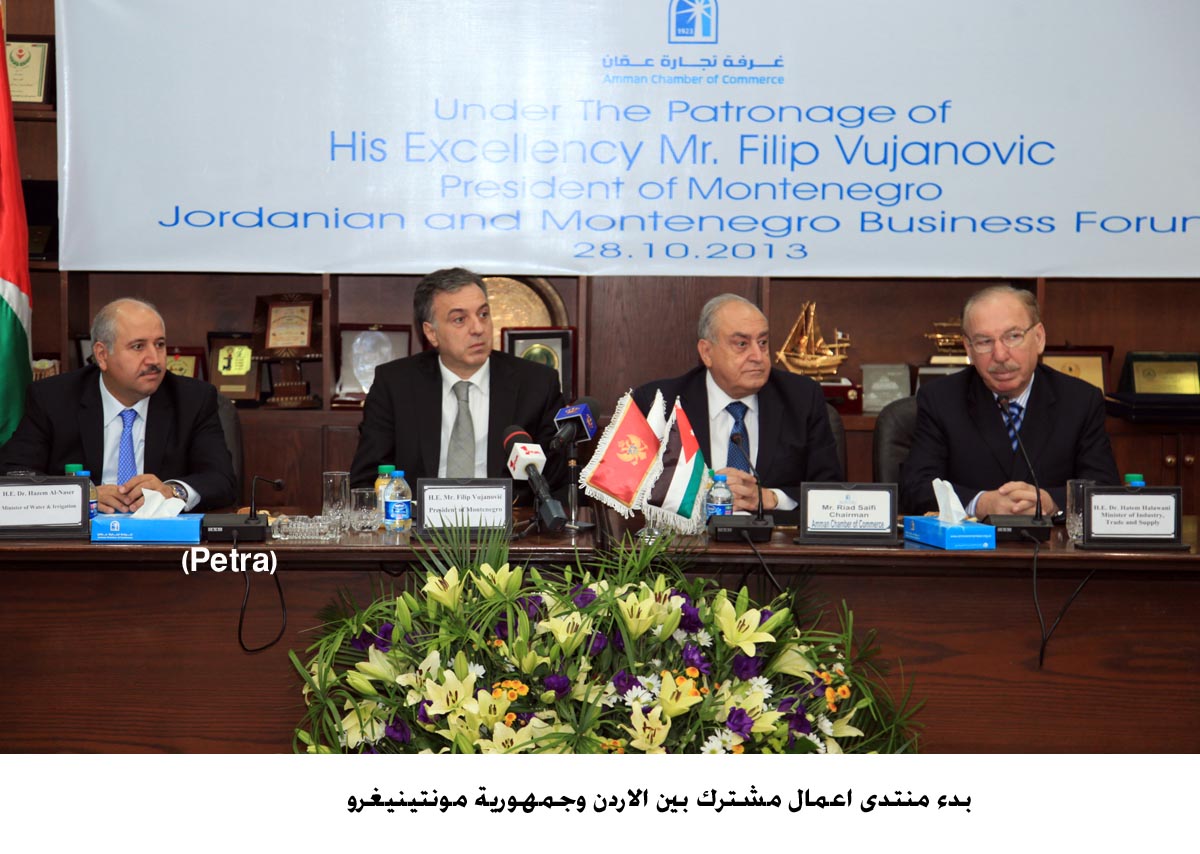 Montenegro president calls for setting up economic partnerships